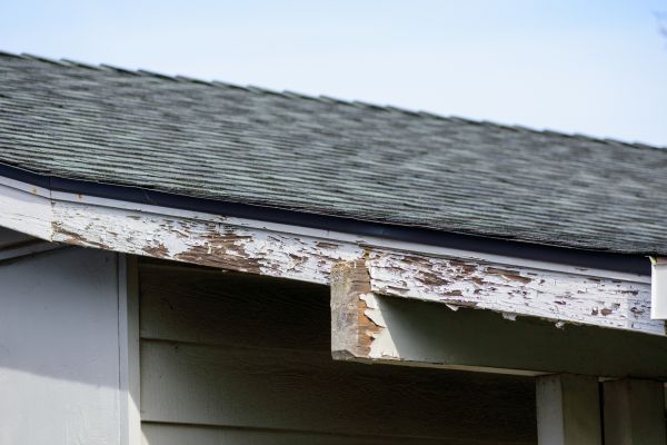 Brooklyn Wood Rot Repair