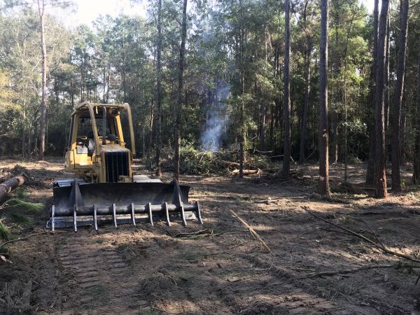 Brooklyn Land Clearing